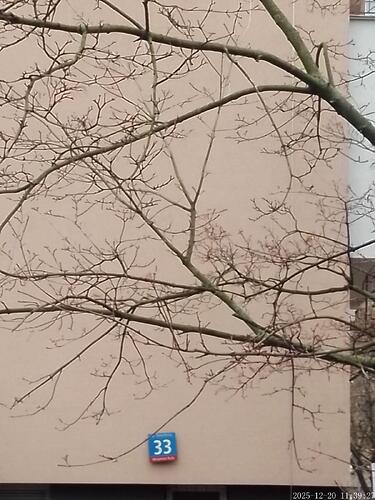 WhatsApp Image 2026-03-10 at 08.50.06