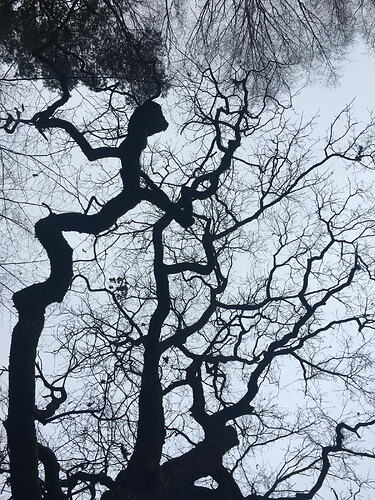 WhatsApp Image 2026-03-10 at 09.04.38 (3)