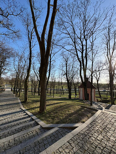 WhatsApp Image 2026-04-10 at 13.35.29