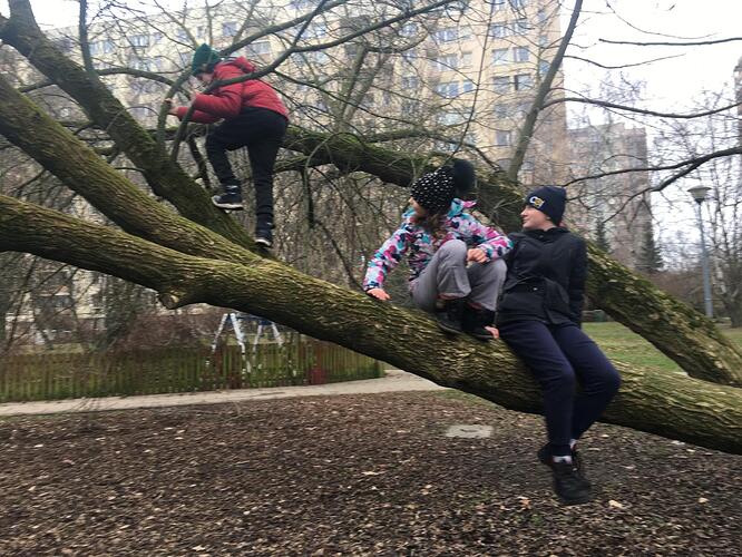 WhatsApp Image 2026-03-10 at 09.04.38 (2)