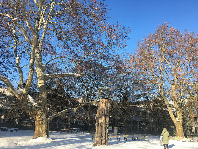 WhatsApp Image 2026-03-10 at 09.59.16