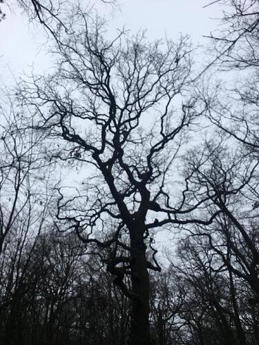 WhatsApp Image 2026-03-10 at 09.04.38