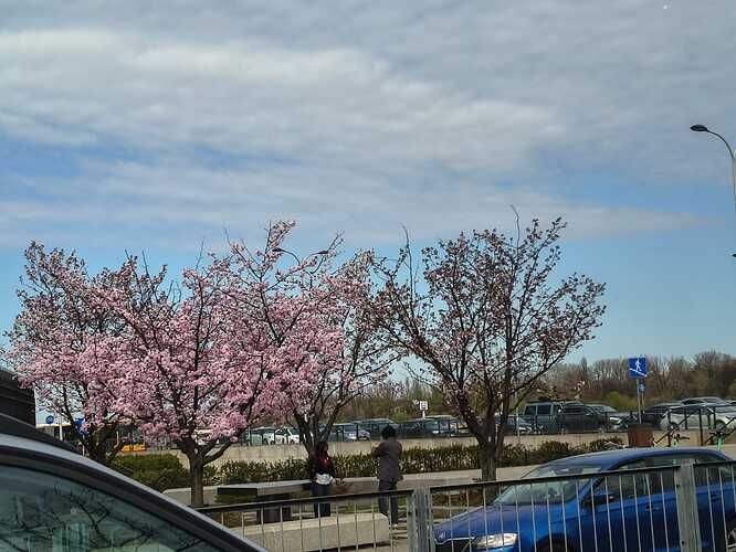 WhatsApp Image 2026-04-10 at 13.38.04 (5)